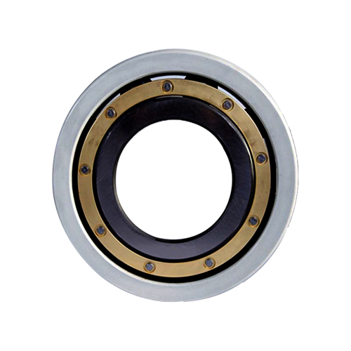 INSOCOAT Cylindrical Roller Bearings 