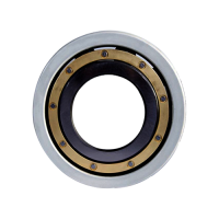 INSOCOAT Deep Groove Ball Bearings