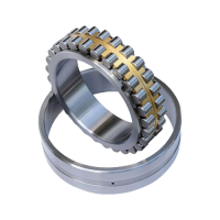 Double Row Cylindrical Roller Bearings